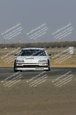 media/Nov-11-2023-GTA Finals Buttonwillow (Sat) [[117180e161]]/Group 3/Wall Paper Shots/